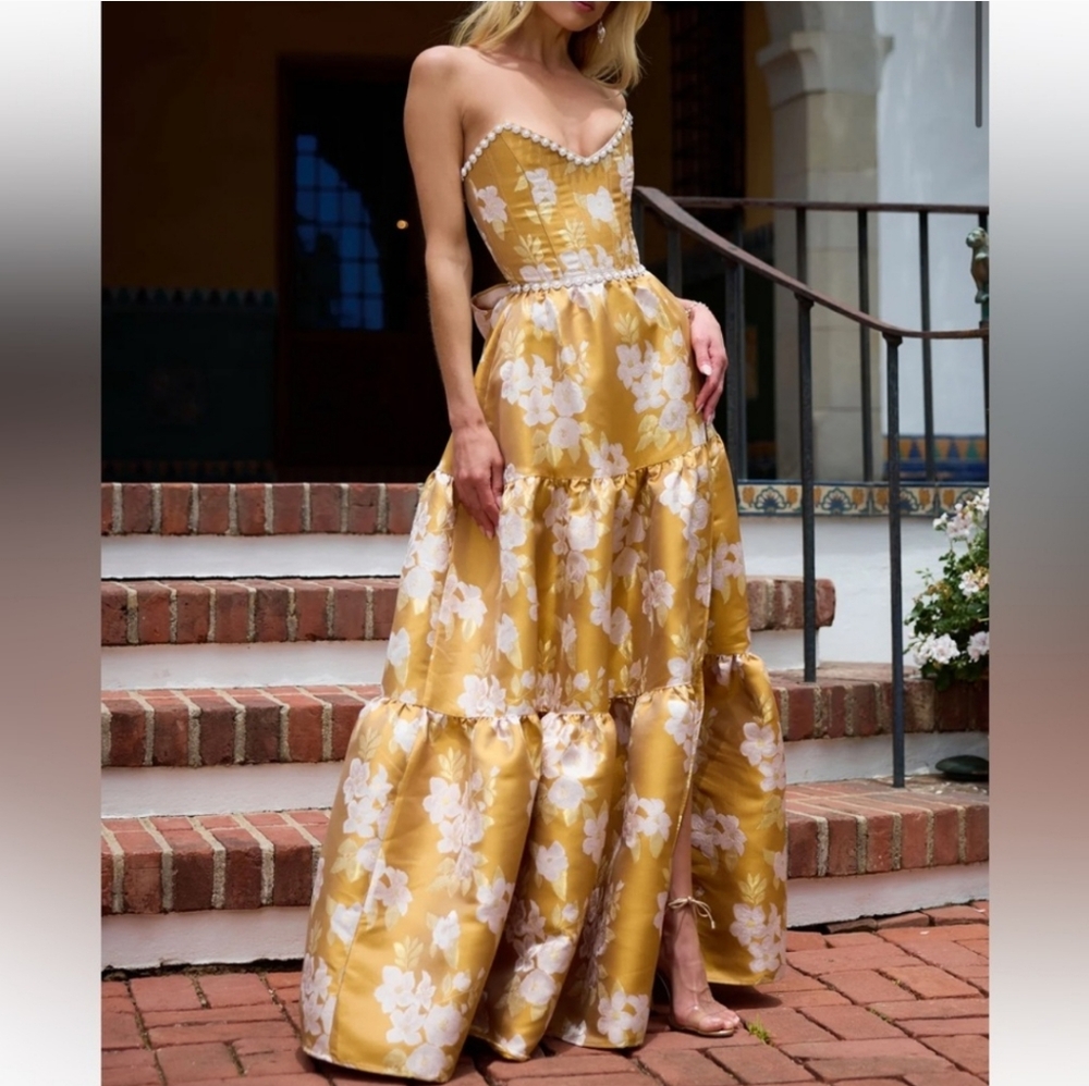 V. Chapman Vivian Gown Size 2